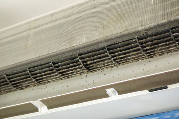 Best Affordable Air Duct Cleaning  in Aurora, NE